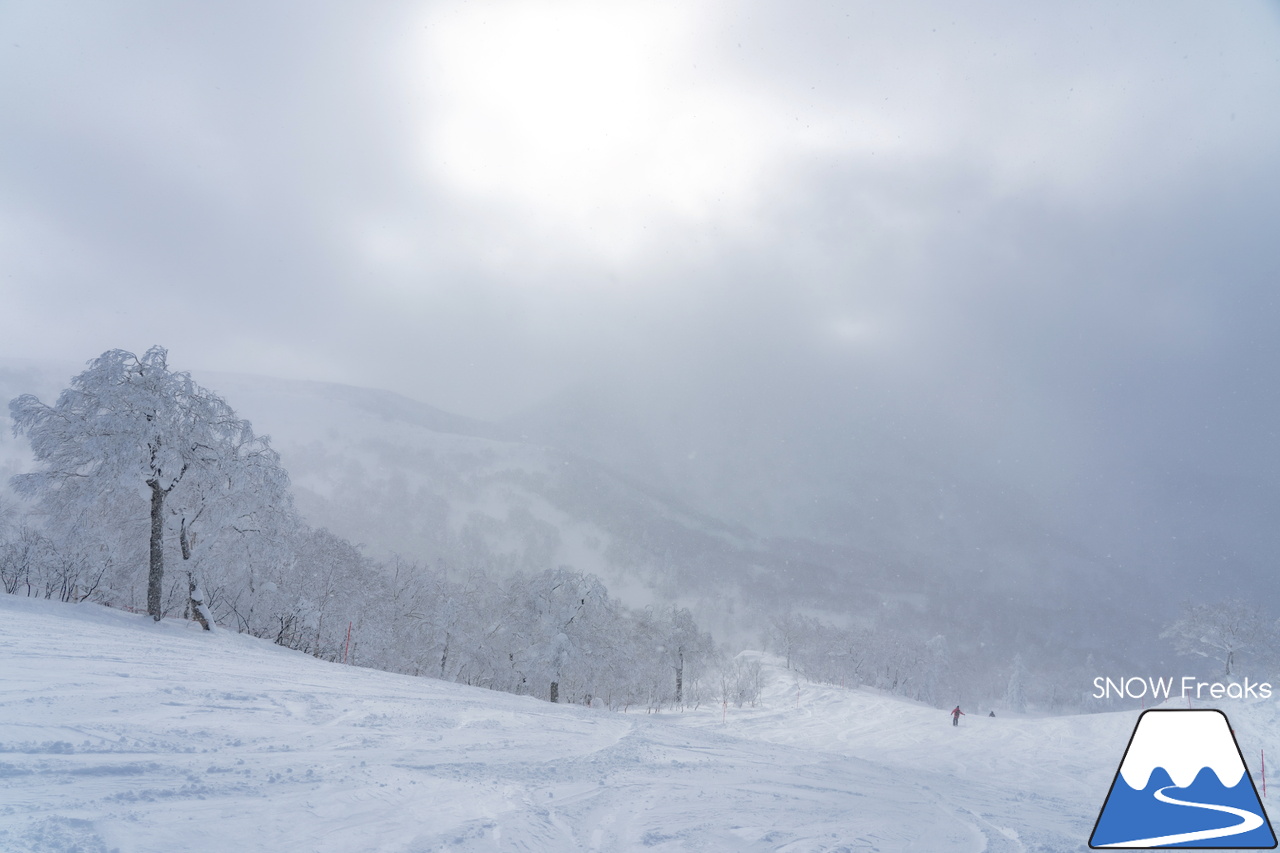 キロロリゾート｜寒さも、雪質も、最上級。キロロが誇る世界屈指のパウダースノーを楽しみましょう♪